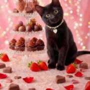 ヒメ日記 2026/02/08 22:20 投稿 矢吹 熟女の風俗最終章 横浜本店