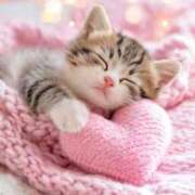 ヒメ日記 2026/02/09 03:57 投稿 矢吹 熟女の風俗最終章 横浜本店