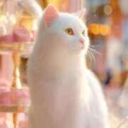 ヒメ日記 2026/02/22 16:19 投稿 矢吹 熟女の風俗最終章 横浜本店