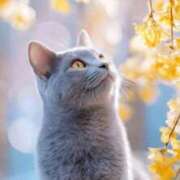 ヒメ日記 2026/02/24 18:44 投稿 矢吹 熟女の風俗最終章 横浜本店