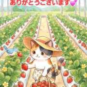 ヒメ日記 2026/03/02 15:23 投稿 矢吹 熟女の風俗最終章 横浜本店