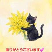 ヒメ日記 2026/03/02 20:04 投稿 矢吹 熟女の風俗最終章 横浜本店