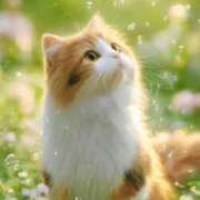 ヒメ日記 2026/03/03 09:05 投稿 矢吹 熟女の風俗最終章 横浜本店