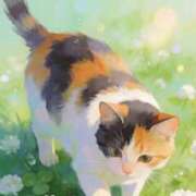 ヒメ日記 2026/03/06 23:14 投稿 矢吹 熟女の風俗最終章 横浜本店