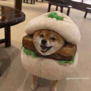 ヒメ日記 2026/03/08 00:04 投稿 矢吹 熟女の風俗最終章 横浜本店