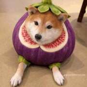 ヒメ日記 2026/03/08 17:54 投稿 矢吹 熟女の風俗最終章 横浜本店