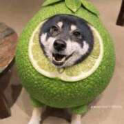 ヒメ日記 2026/03/11 17:20 投稿 矢吹 熟女の風俗最終章 横浜本店