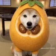 ヒメ日記 2026/03/11 20:44 投稿 矢吹 熟女の風俗最終章 横浜本店