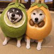 ヒメ日記 2026/03/11 22:54 投稿 矢吹 熟女の風俗最終章 横浜本店