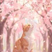 ヒメ日記 2026/03/21 18:14 投稿 矢吹 熟女の風俗最終章 横浜本店