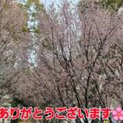 ヒメ日記 2026/03/25 00:29 投稿 矢吹 熟女の風俗最終章 横浜本店