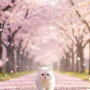 ヒメ日記 2026/04/04 14:51 投稿 矢吹 熟女の風俗最終章 横浜本店