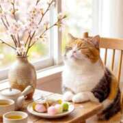 ヒメ日記 2026/04/05 14:59 投稿 矢吹 熟女の風俗最終章 横浜本店