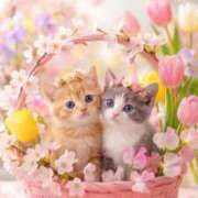 ヒメ日記 2026/04/07 21:24 投稿 矢吹 熟女の風俗最終章 横浜本店