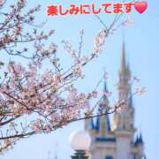 ヒメ日記 2026/04/09 09:44 投稿 矢吹 熟女の風俗最終章 横浜本店