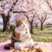 ヒメ日記 2026/04/09 16:55 投稿 矢吹 熟女の風俗最終章 横浜本店