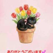 ヒメ日記 2026/04/22 14:14 投稿 矢吹 熟女の風俗最終章 横浜本店