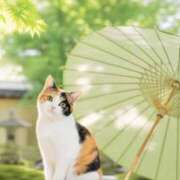 ヒメ日記 2026/06/30 12:49 投稿 矢吹 熟女の風俗最終章 横浜本店