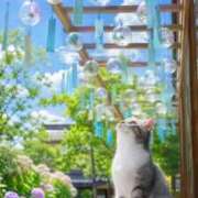 ヒメ日記 2026/07/01 23:44 投稿 矢吹 熟女の風俗最終章 横浜本店