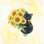 ヒメ日記 2026/07/02 13:20 投稿 矢吹 熟女の風俗最終章 横浜本店