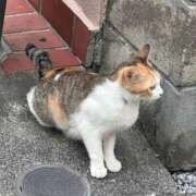 ヒメ日記 2026/01/25 21:18 投稿 白上あやか デリス新宿