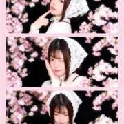 ヒメ日記 2026/03/21 21:24 投稿 白上あやか デリス新宿