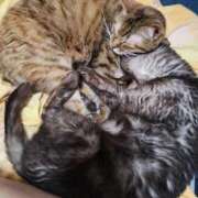 ヒメ日記 2025/09/12 12:09 投稿 ほしの 丸妻 厚木店