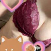 ヒメ日記 2026/02/12 20:30 投稿 響-ひびき 熟女10000円デリヘル 川崎