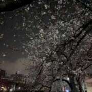 ヒメ日記 2026/03/29 19:49 投稿 響-ひびき 熟女10000円デリヘル 川崎