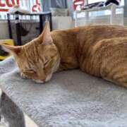 ヒメ日記 2025/09/30 14:51 投稿 響-ひびき 熟女10000円デリヘル横浜