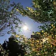 ヒメ日記 2025/10/07 17:36 投稿 響-ひびき 熟女10000円デリヘル横浜