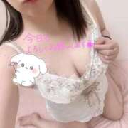 ヒメ日記 2026/03/20 07:48 投稿 新庄ほのか 恋する妻たち