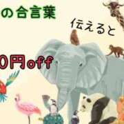 ヒメ日記 2026/03/20 08:03 投稿 新庄ほのか 恋する妻たち