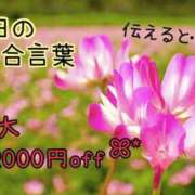 ヒメ日記 2026/03/22 08:03 投稿 新庄ほのか 恋する妻たち
