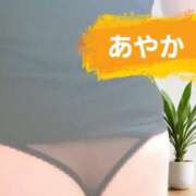 ヒメ日記 2026/01/07 14:32 投稿 あやか あげまん 梅田店