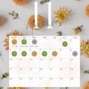 ヒメ日記 2025/10/19 19:07 投稿 いろは ハピネス東京