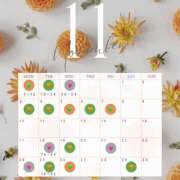 ヒメ日記 2025/11/10 20:07 投稿 いろは ハピネス東京