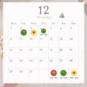 いろは 💐12月前半予約開始⭐️ ハピネス東京