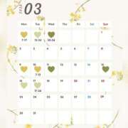 ヒメ日記 2026/02/26 20:07 投稿 いろは ハピネス東京