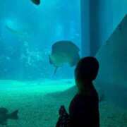 ヒメ日記 2025/12/13 20:53 投稿 白桃ゆめ デリス新宿