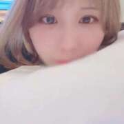 ヒメ日記 2026/02/11 16:24 投稿 笠松あい デリス新宿