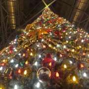 ヒメ日記 2025/12/02 16:24 投稿 白百合ひな デリス新宿