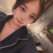 ヒメ日記 2026/01/06 23:14 投稿 双葉ゆず デリス新宿