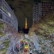 ヒメ日記 2025/11/29 21:42 投稿 早乙女うる デリス新宿