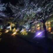 ヒメ日記 2025/09/22 21:50 投稿 すい 奥鉄オクテツ東京店（デリヘル市場）