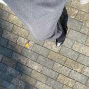 ヒメ日記 2025/11/15 13:00 投稿 すい 奥鉄オクテツ東京店（デリヘル市場）