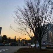 すい 25日リクエストT様へ(*^^*) 奥鉄オクテツ東京店（デリヘル市場）