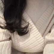 ヒメ日記 2025/11/26 17:07 投稿 すい先生 渋谷   大人の幼稚園