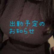 ヒメ日記 2025/12/15 12:57 投稿 すい先生 渋谷   大人の幼稚園