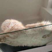 ヒメ日記 2025/11/01 16:16 投稿 ミツキ マテリアル